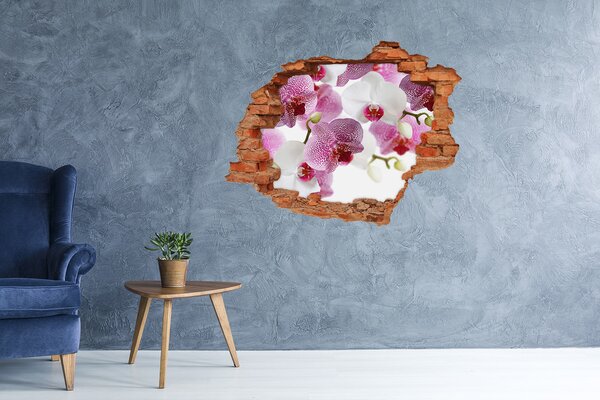 Fototapeta nálepka na zeď Fototapeta orchidej nd-c-107506962