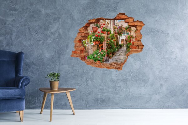 Fototapeta díra na zeď Italské uličky nd-c-108008671
