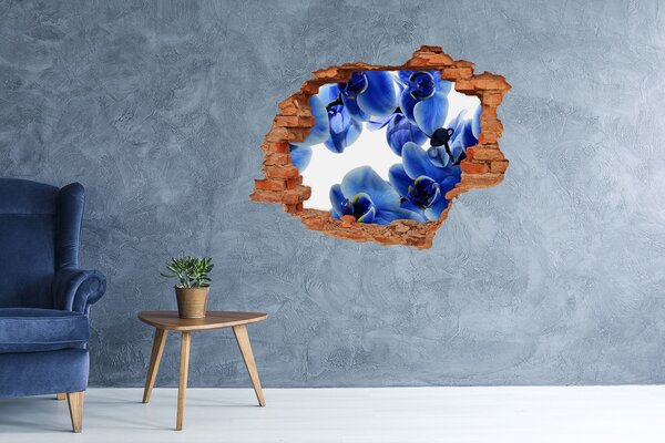 Fototapeta nálepka na zeď Modrá orchidej nd-c-108719239