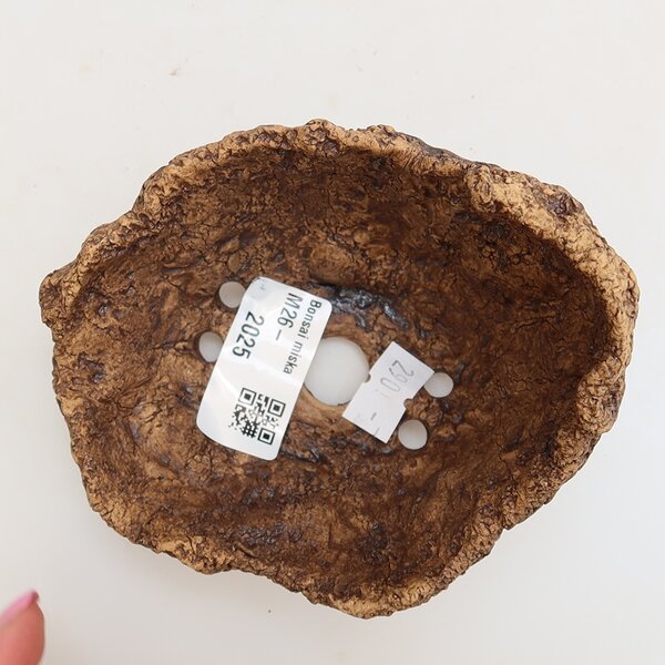 E-bonsai Keramická Skořápka 10 x 9 x 9 cm hnědá