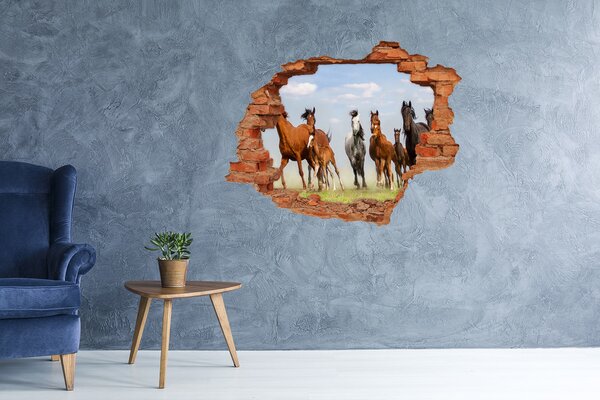 Díra 3D fototapeta nálepka Koně ve cvalu nd-c-108737059
