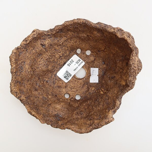 E-bonsai Keramická Skořápka 14,5 x 13 x 11,5 cm hnědá