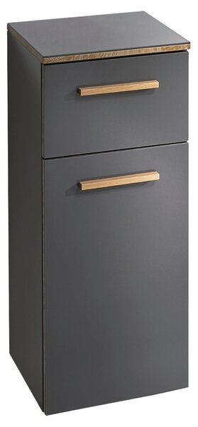 SPODNÍ SKŘÍŇKA, šedá, 30/72/33 cm Xora - Spodní skříňky