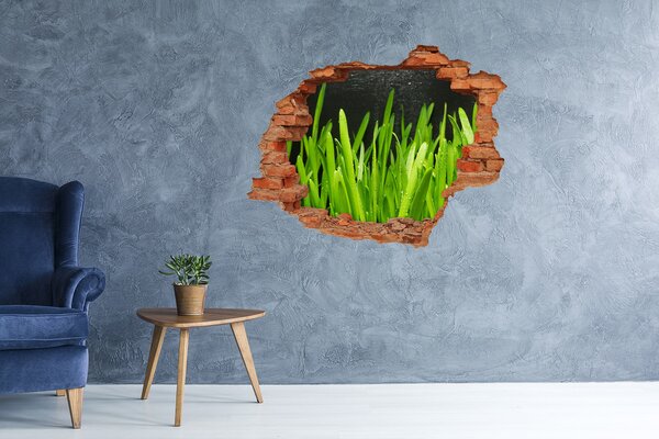 Samolepící nálepka na zeď fototapeta Tráva nd-c-108879645