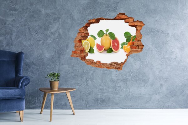 Nálepka 3D díra na zeď Citrusové ovoce nd-c-108945081