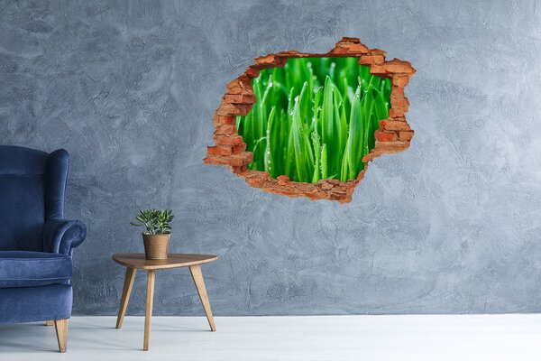 Samolepící nálepka na zeď fototapeta Tráva nd-c-109527369