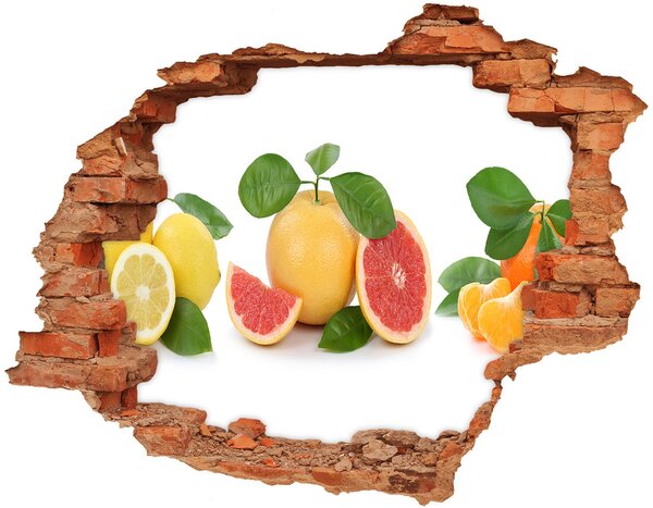 Nálepka 3D díra na zeď Citrusové ovoce nd-c-108945081