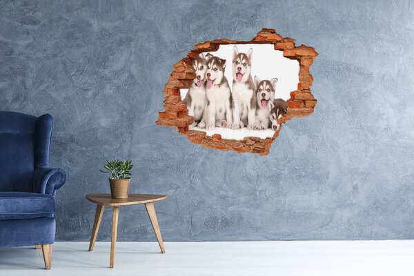 Díra 3D fototapeta nálepka Štěně Husky nd-c-110309501