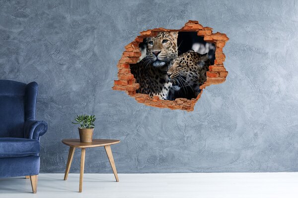 Díra 3D fototapeta na stěnu Levharti nd-c-109930645