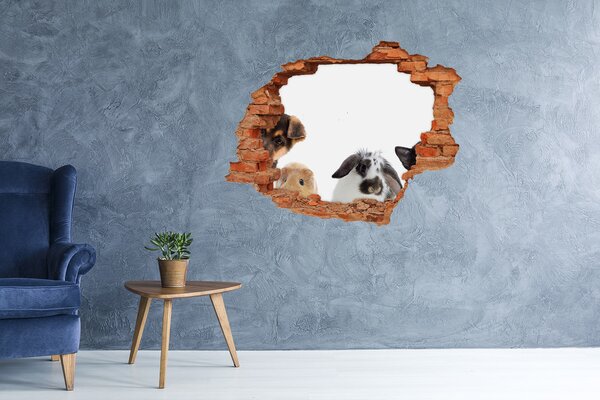 Díra 3D fototapeta nálepka Domácí zvířata nd-c-111143742