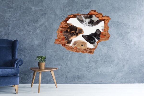 Díra 3D fototapeta na stěnu Domácí zvířata nd-c-111140869