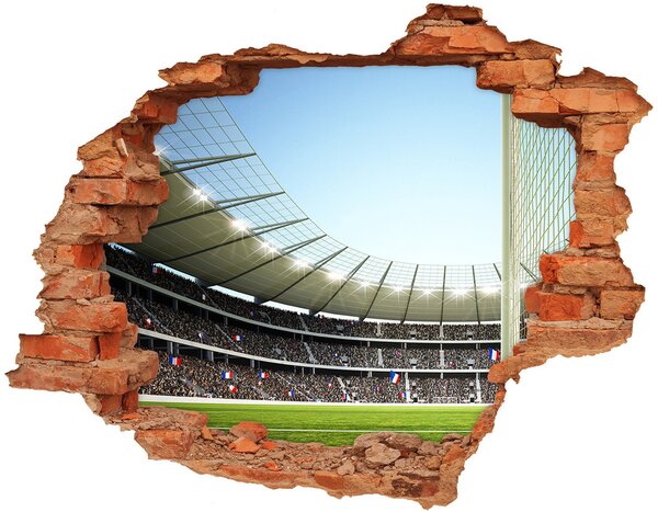 Fototapeta díra na zeď 3D Stadion Francie nd-c-111693284