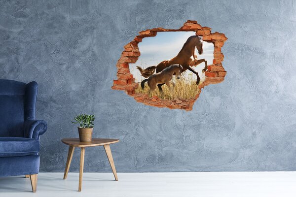 Díra 3D fototapeta Kobyla s hříbětem nd-c-112515089