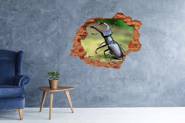 Díra 3D fototapeta na stěnu Brouk nd-c-111879118