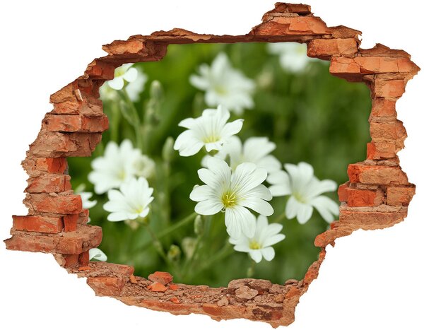 Samolepící nálepka na zeď Jarní květiny nd-c-112767766
