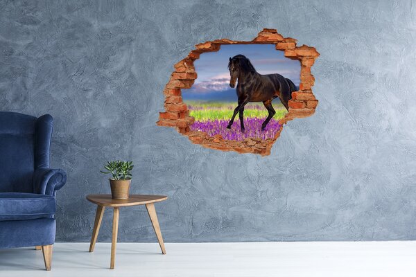 Fototapeta díra na zeď Kůň na poli levandule nd-c-113343357