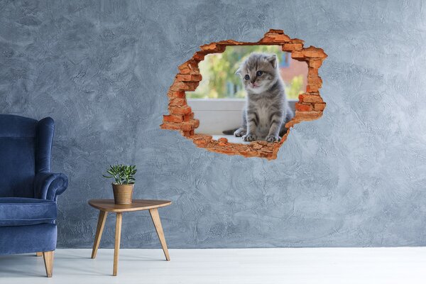 Díra 3D fototapeta na stěnu Malá kočka u okna nd-c-114401117