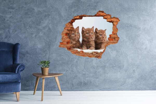 Díra 3D fototapeta na stěnu Kočičky na ručníku nd-c-115160292