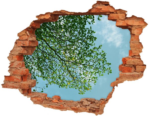 Díra 3D ve zdi nálepka Listí na nebi nd-c-116183782