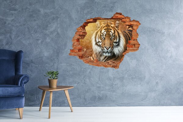 Díra 3D fototapeta na stěnu Bengálský tygr nd-c-116603957