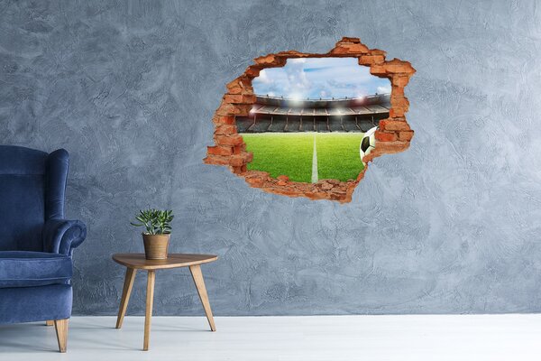 Fototapeta díra na zeď 3D Míč na hřišti nd-c-116418833