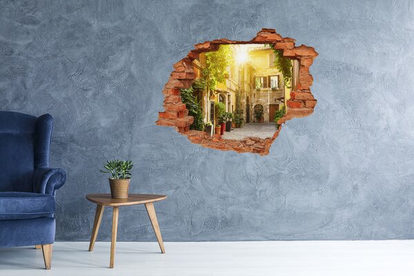 Fototapeta díra na zeď Italské uličky nd-c-116304208