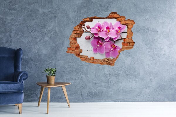 Samolepící nálepka Orchidej na stromě nd-c-118409675