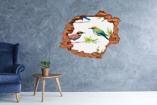 Díra 3D fototapeta na stěnu Egzotičtí ptáci nd-c-119482141