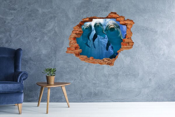 Díra 3D fototapeta na stěnu Tři delfíni nd-c-119968160
