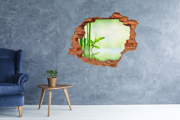 Samolepící nálepka na zeď fototapeta Bambus nd-c-120328411