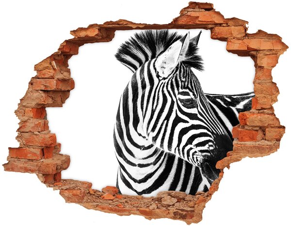 Díra 3D fototapeta nálepka Zebra na sněhu nd-c-121577688