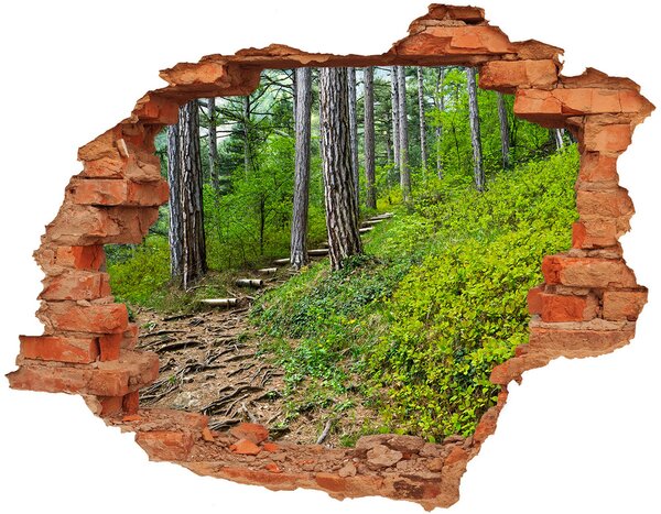 Díra 3D ve zdi nálepka Lesní stezka nd-c-122173226
