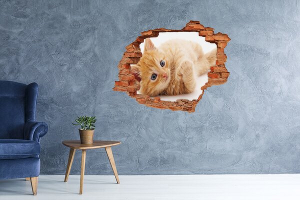 Díra 3D fototapeta nálepka Červená kočka nd-c-126034635