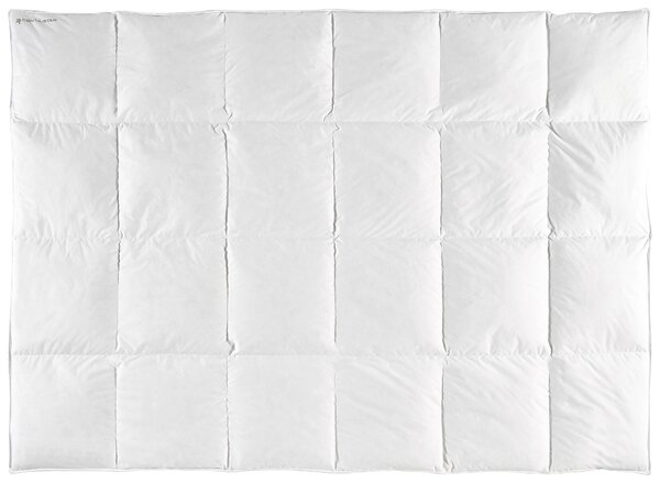 PÉŘOVÁ PŘIKRÝVKA, 135/200 cm, peří, prachové peří Centa-Star - Přikrývky, Online Only