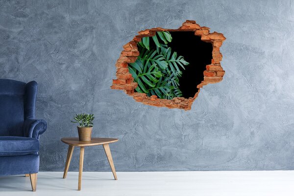 Samolepící nálepka fototapeta Monstera nd-c-136056099