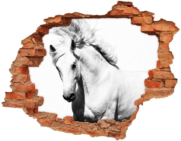 Fototapeta díra na zeď Bílý kůň nd-c-14270832