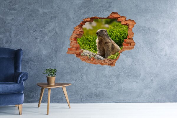 Díra 3D fototapeta nálepka Svišť tatranský nd-c-145007042