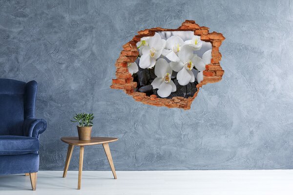 Samolepící nálepka fototapeta Orchidej nd-c-143985624