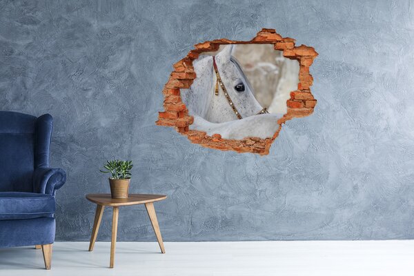 Díra 3D fototapeta nálepka Bílý arabský kůň nd-c-143185113