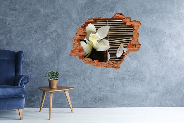 Fototapeta nálepka na zeď Fototapeta orchidej nd-c-14760003