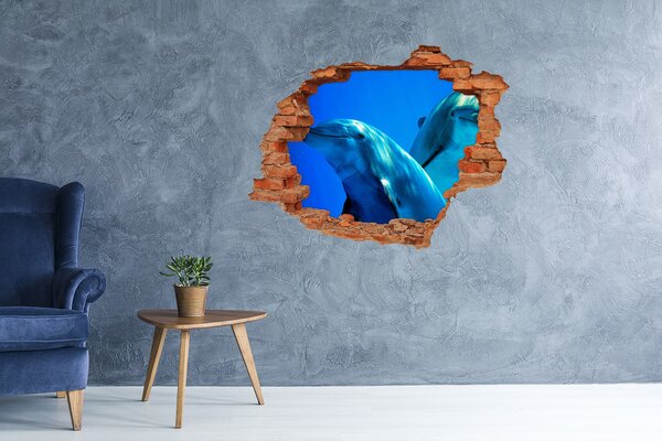 Díra 3D fototapeta nástěnná Dva delfíni nd-c-16277956