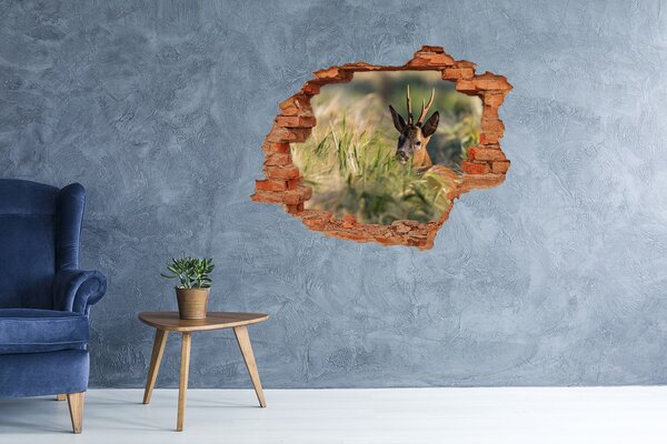 Díra 3D fototapeta na stěnu Jelen na poli nd-c-159154128