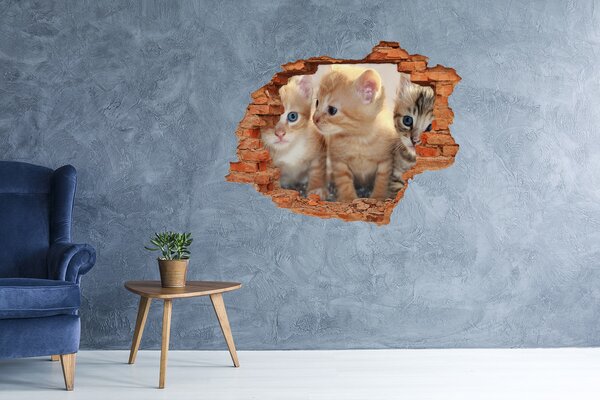 Díra 3D fototapeta nálepka Koťátka nd-c-159538391