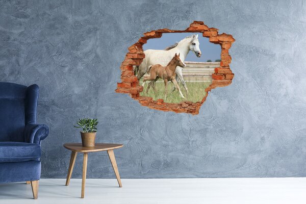 Díra 3D fototapeta na stěnu Kobyla s hříbětem nd-c-159365843
