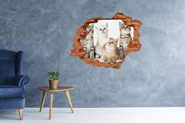 Díra 3D fototapeta nástěnná Nálepka koťátka nd-c-162169974