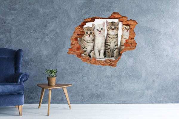 Díra 3D fototapeta nálepka Koťátka nd-c-159885002