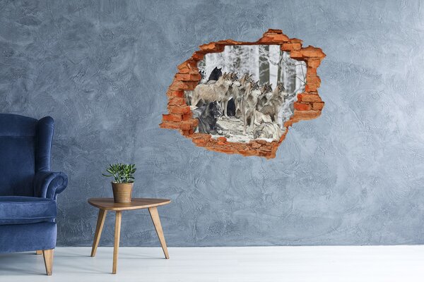 Díra 3D fototapeta nástěnná Nálepka vlci zimou nd-c-171243935