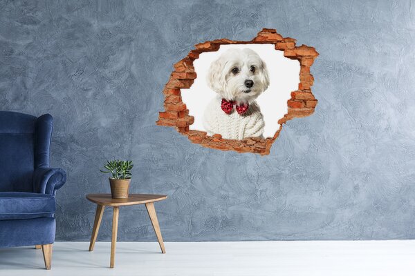 Díra 3D fototapeta Maltézský psík nd-c-190626474