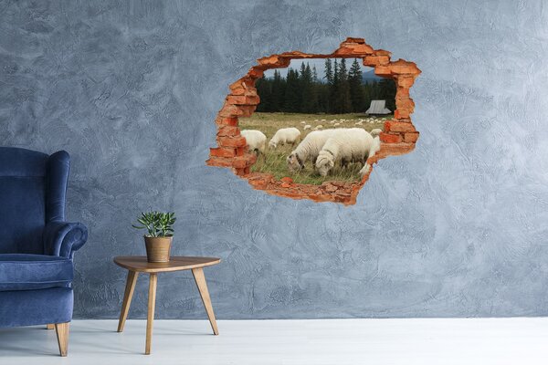 Díra 3D fototapeta nálepka Pasící se ovce nd-c-197671747