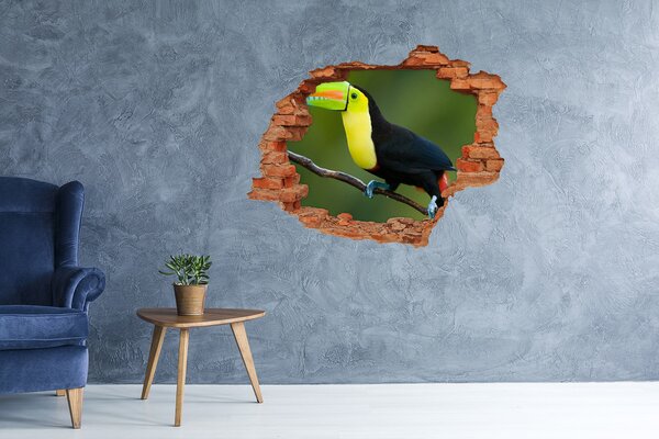Díra 3D fototapeta na stěnu nálepka Tukan nd-c-24093338